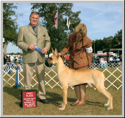 Roserun's Winterwood Juliette