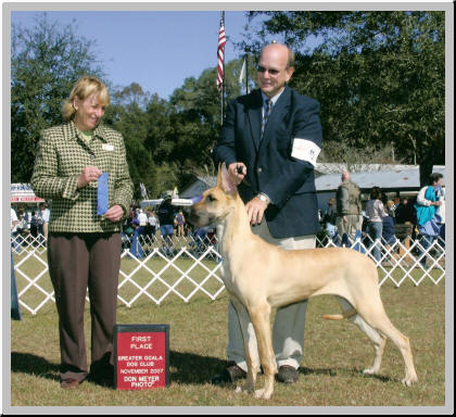 Roserun's Winterwood Juliette